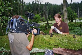 Filmaufnahmen beim Absammeln einer Waschbärlatrine im Müritz-Nationalpark